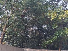 -宋庆龄陵园