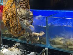 -苏格里岛自助烤肉海鲜火锅(成都金牛万达店)