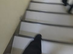 -大商麦凯乐(大连总店)