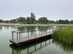 -北龙湖湿地公园