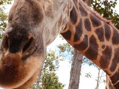 -清迈夜间动物园