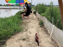 -梁鸿国家湿地公园