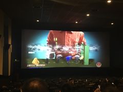 放映厅-AMG海上明珠影城(上海环球港RealDCinema店)