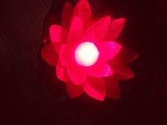 -楠溪江风景名胜区