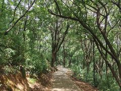 -苏州上方山国家森林公园
