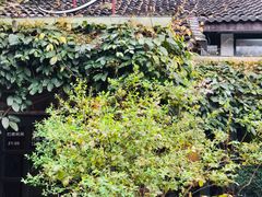 景观位-旅马餐厅(茅家埠店)