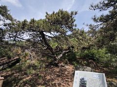 -沂蒙山旅游区云蒙景区(蒙山国家森林公园)