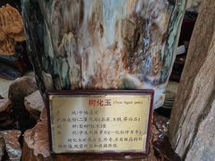 -云南勐巴娜西珍奇园