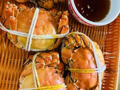 -乡乐园蟹庄·阳澄湖农家乐