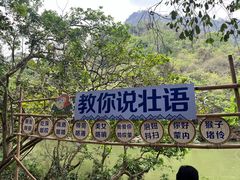 -广西龙虎山风景区
