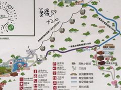 -野象谷景区