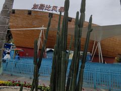 -成都欢乐谷