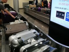 -谢列梅捷沃国际机场