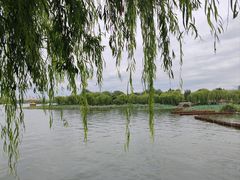 -济南大明湖景区