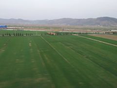 -合肥火车站(地铁站)