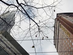-上海南新雅大酒店