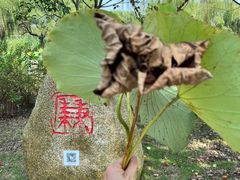 -阳澄湖半岛旅游度假区
