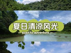 -广州白江湖森林公园