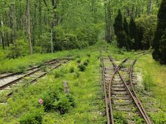 -合肥滨湖国家森林公园