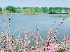 -东郊湿地公园