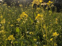 -长春公园(普阳街道)