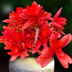 -Oasis Beauty水磨坊科技美肤中心