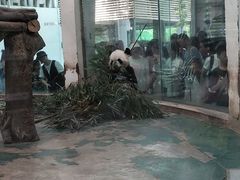 -成都动物园