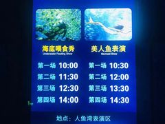 -哈尔滨波塞冬海底世界
