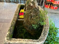 -三道苗苗鱼·美蛙黄辣丁(八里店)