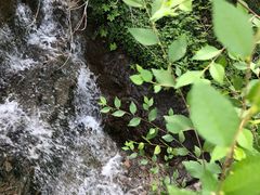 -抱犊寨风景区