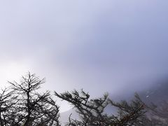 -富士山吉田線五合目