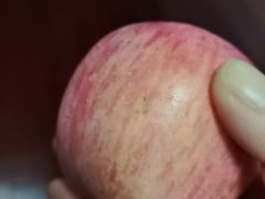 -荆九爷爆炒桥头三嫩(夫子庙店)