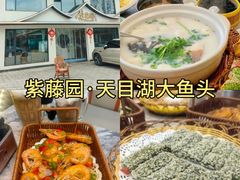 -紫藤园·天目湖大鱼头(南山竹海店)