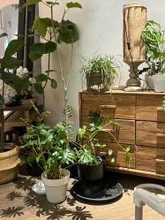 -WAVE SODA摄影工作室