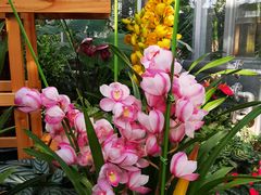 -国家植物园南园