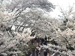 -杭州少年儿童公园