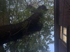 -胖哥料理(兴义里店)