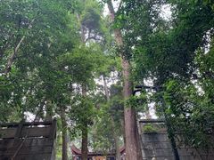 -都江堰普照寺