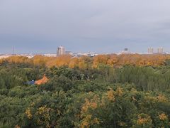 -广州市流溪河国家森林公园