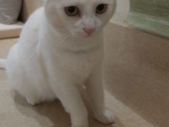 -南枝小馆(银鱼巷店)