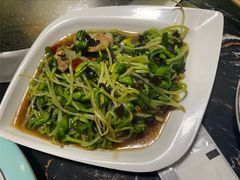豌豆苗炒猪肉-天发长铁锅炖(王秀村店)