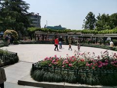 -大关公园