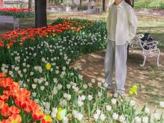-洛阳郁金香牡丹园