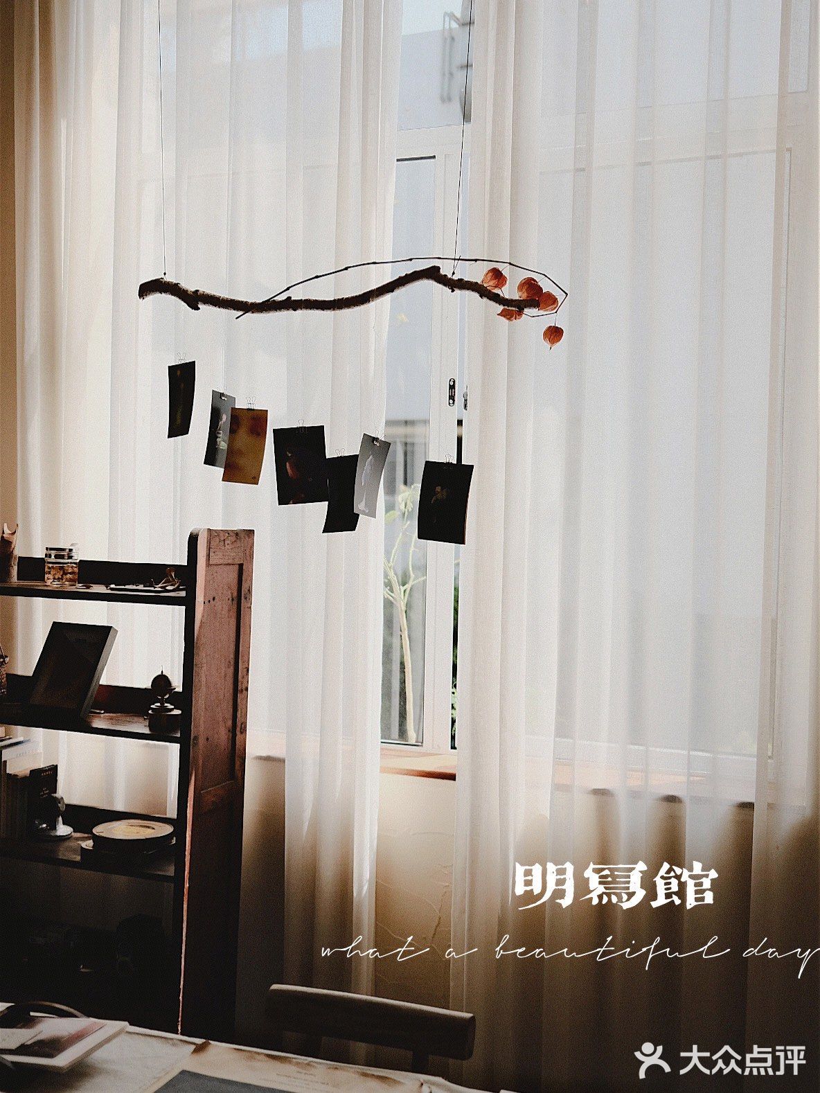 在明写馆拥抱午后温暖