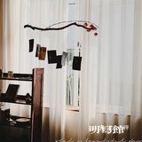 在明写馆拥抱午后温暖