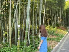 -冶父山国家森林公园
