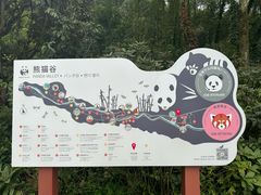 -都江堰中华大熊猫苑