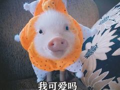 -Siam泰餐厅(水上公园店)