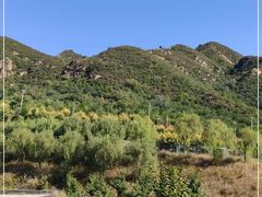 -密云玫瑰情园