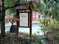 -咸宁万豪温泉谷度假区
